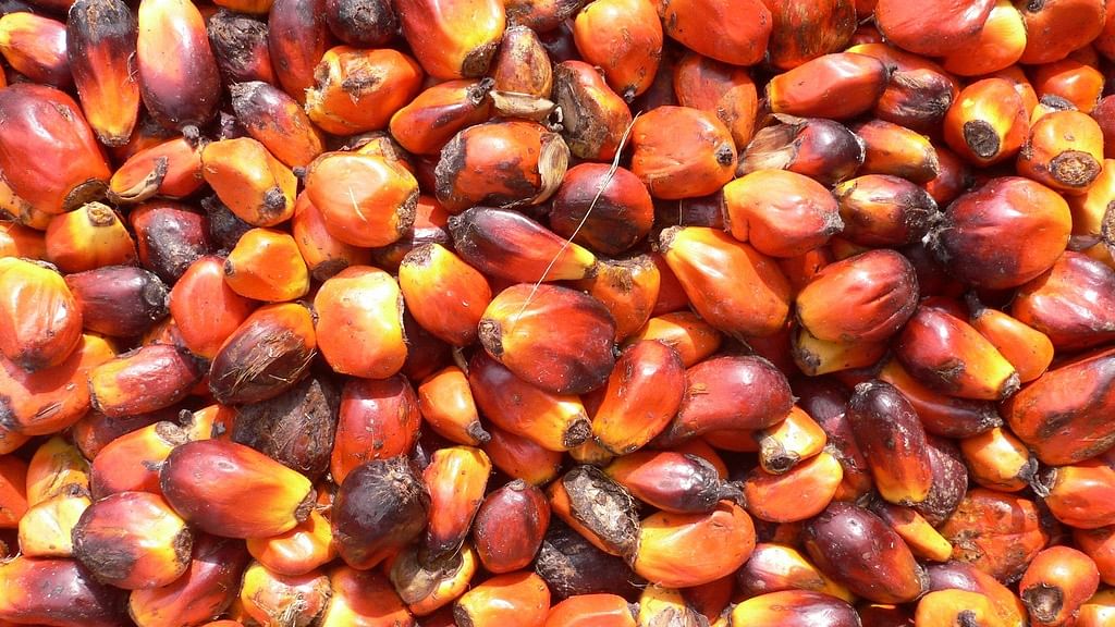 <div class="paragraphs"><p>The Cabinet recently approved Rs 11,040 crore for a centrally sponsored scheme that will focus on increasing productivity of oil seeds and oil palm in the Northeastern region and the Andaman and Nicobar Islands.</p></div>