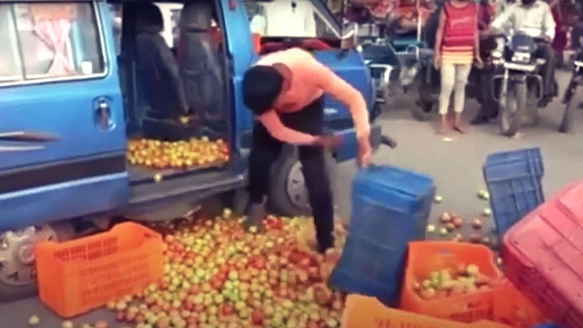 Farmers in Nashik Dump Crates of Tomato as Wholesale Market Price Plummets 