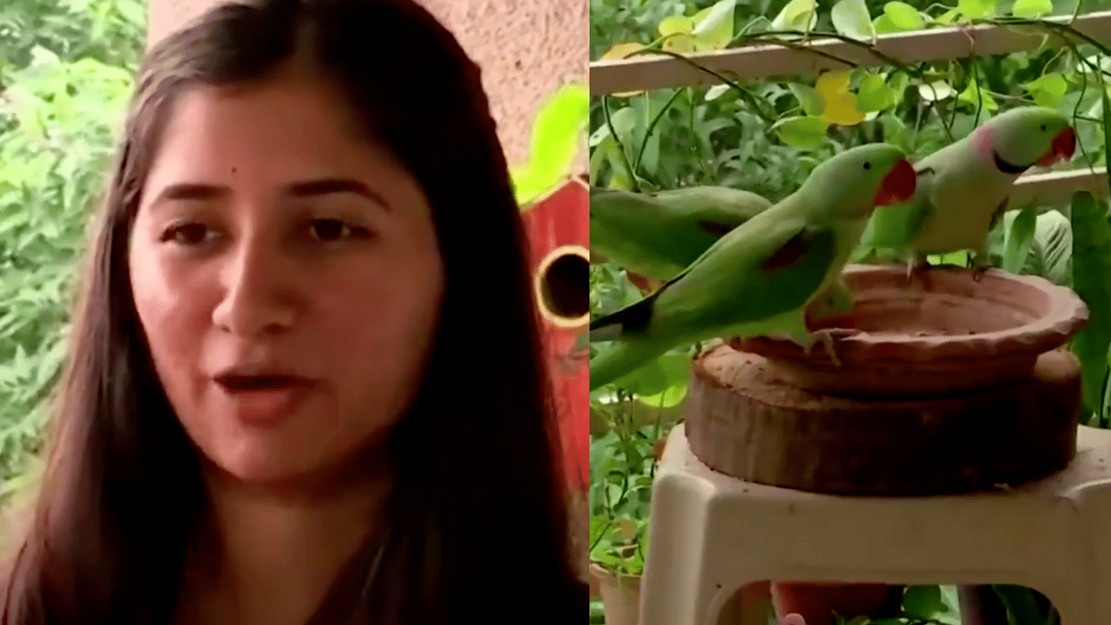 <div class="paragraphs"><p>Radhika Sonawane started feeding parrots during the lockdown.</p></div>