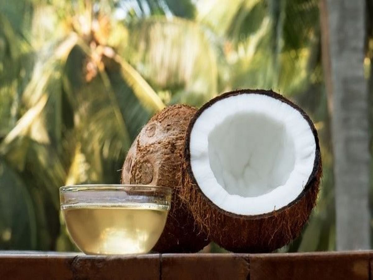 <div class="paragraphs"><p>World Coconut Day is celebrated on 2 September</p></div>
