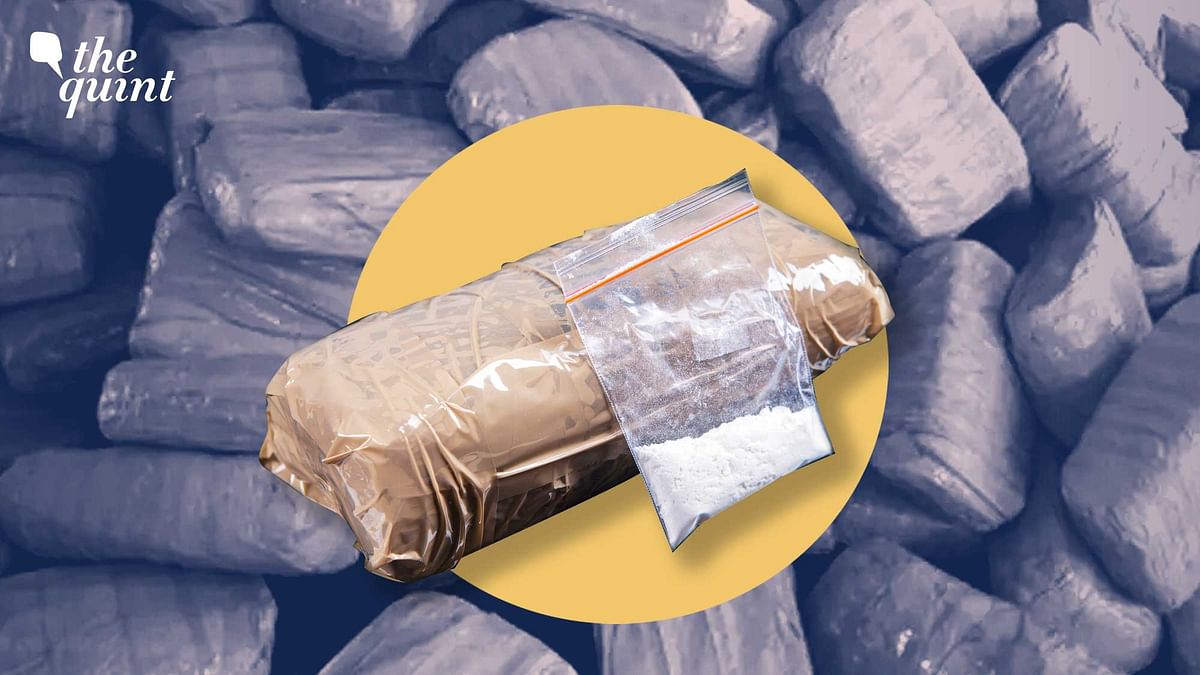 Agencies Looking for Two Masterminds in Afghanistan in 3,000 kg Heroin Smuggling