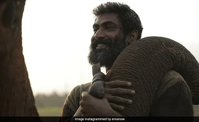 <div class="paragraphs"><p>Rana Daggubati in <em>Haathi Mere Saathi</em>.</p></div>