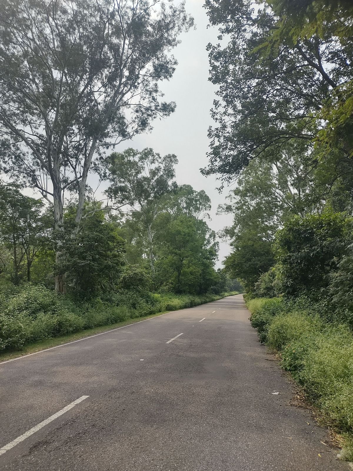 <div class="paragraphs"><p>Main road connecting Pathankot  to Chamrod.</p></div>