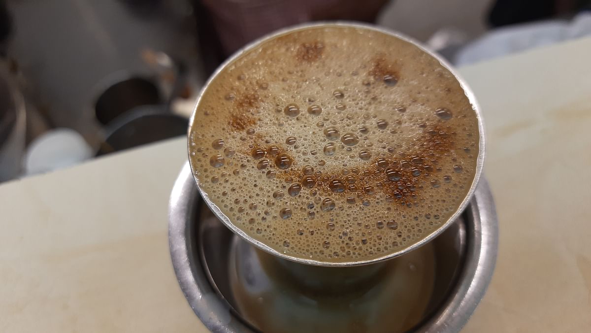 <div class="paragraphs"><p>Filter coffee is made by adding coffee decoction extracted from a mixture of coffee blends with boiled milk and sugar.</p></div>