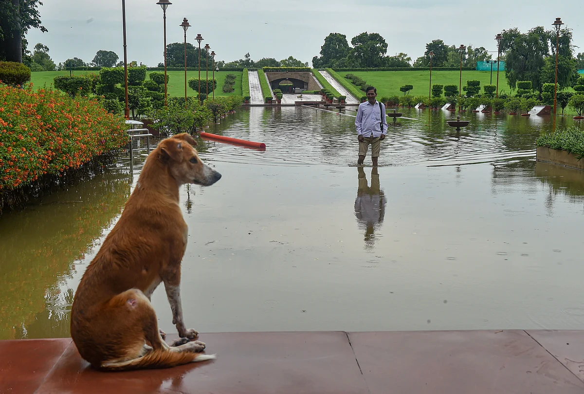 <div class="paragraphs"><p>Waterlogged Rajghat after heavy rain in New Delhi, Wednesday.</p></div>