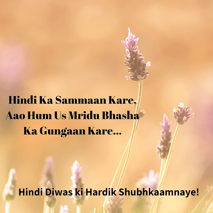 <div class="paragraphs"><p>Hindi Diwas Wishes, Images, Quotes</p></div>
