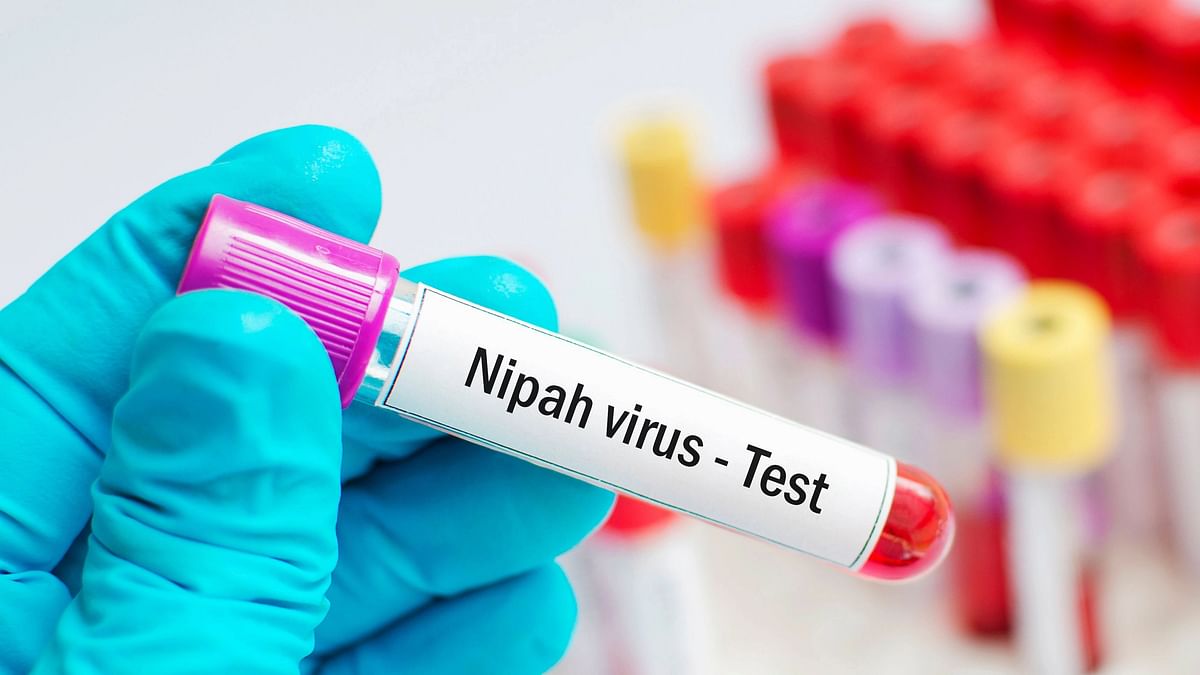 'Strengthen Contact Tracing Measures': Centre Tells Kerala on Nipah Outbreak