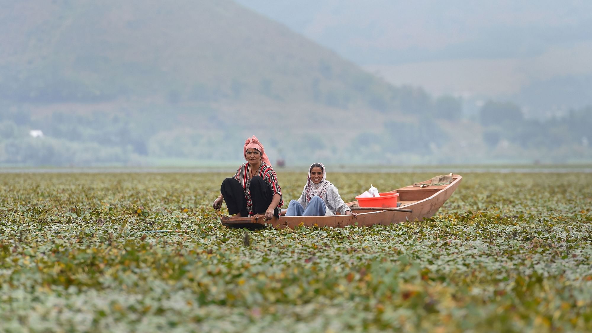 <div class="paragraphs"><p>Bandipora: Women on a boat look on as they extract Water Chestnuts from Wular Lake in Bandipora District of North Kashmir, Saturday, 28 August.</p></div>