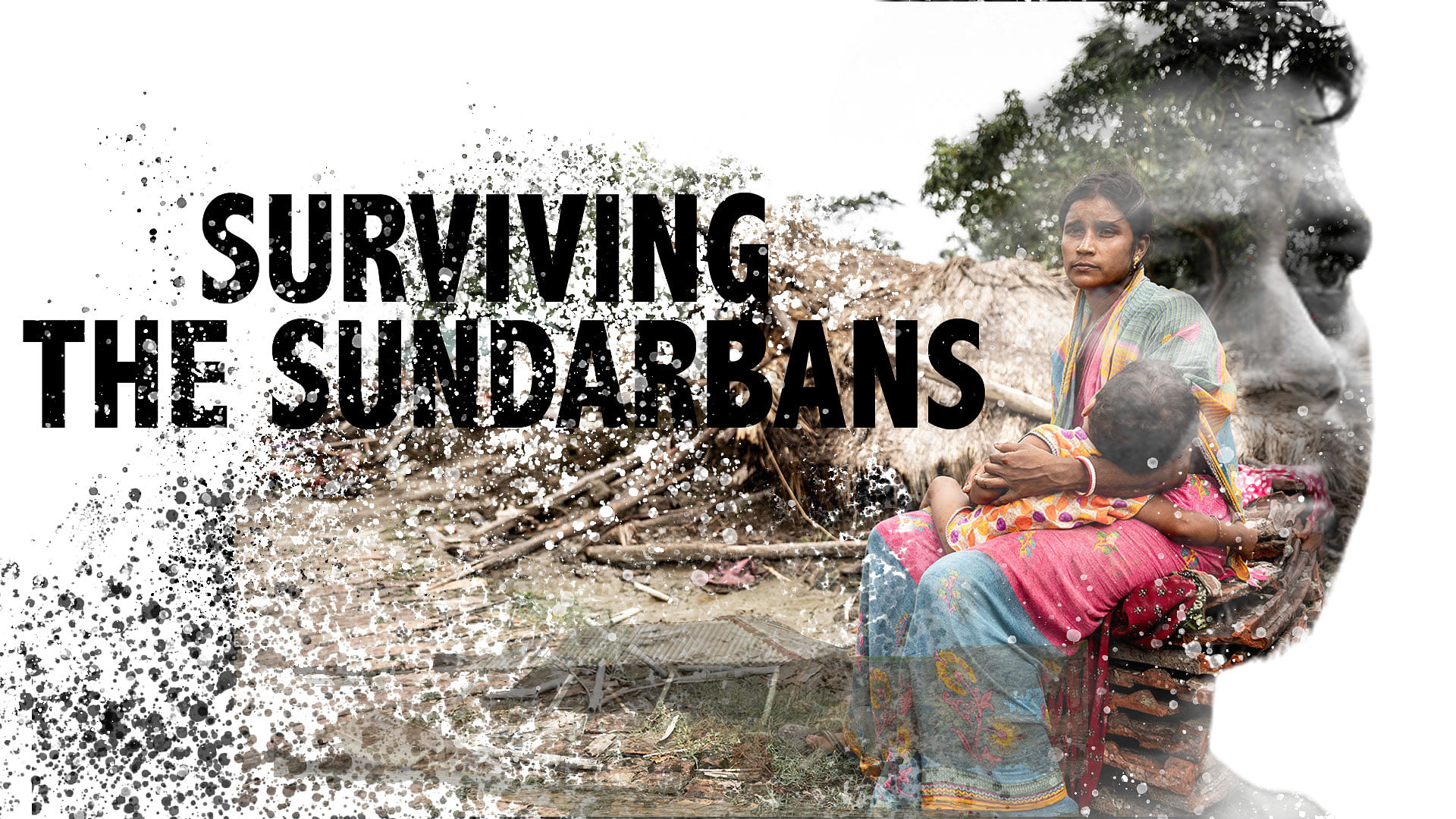 <div class="paragraphs"><p>Surviving the Sundarbans</p></div>