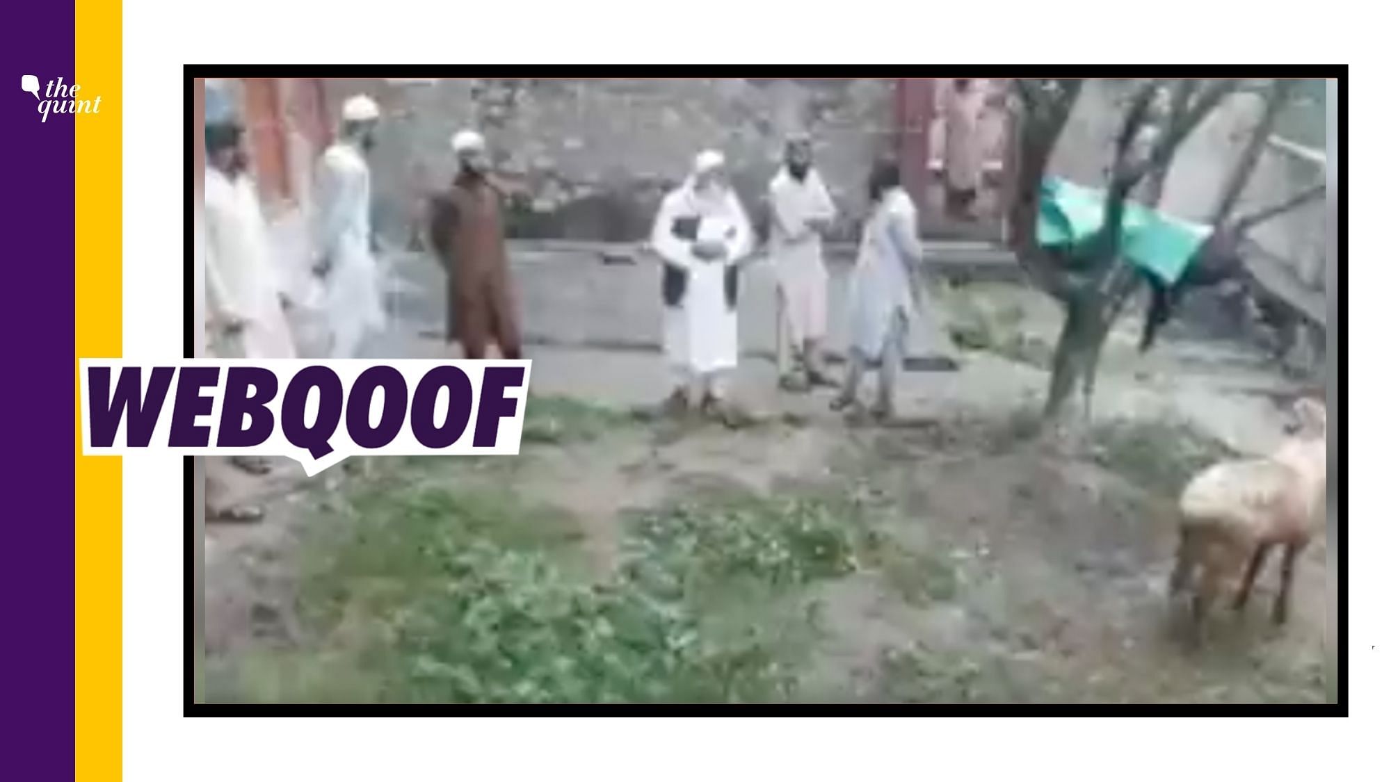 <div class="paragraphs"><p>Social media users falsely claimed that the man seen in the viral video is a Kashmiri Pandit objecting to the slaughtering of a cow.</p></div>