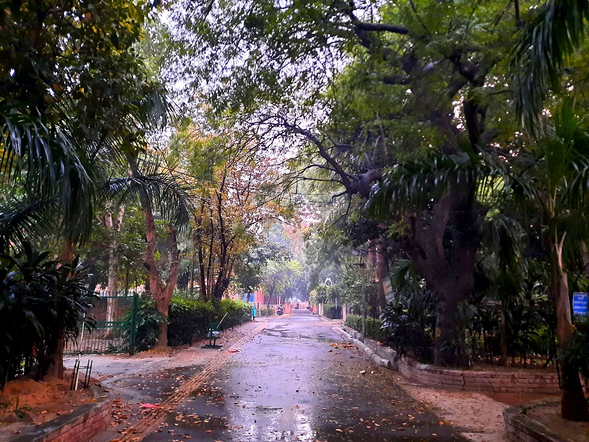 <div class="paragraphs"><p>Empty roads inside Hindu College campus </p></div>