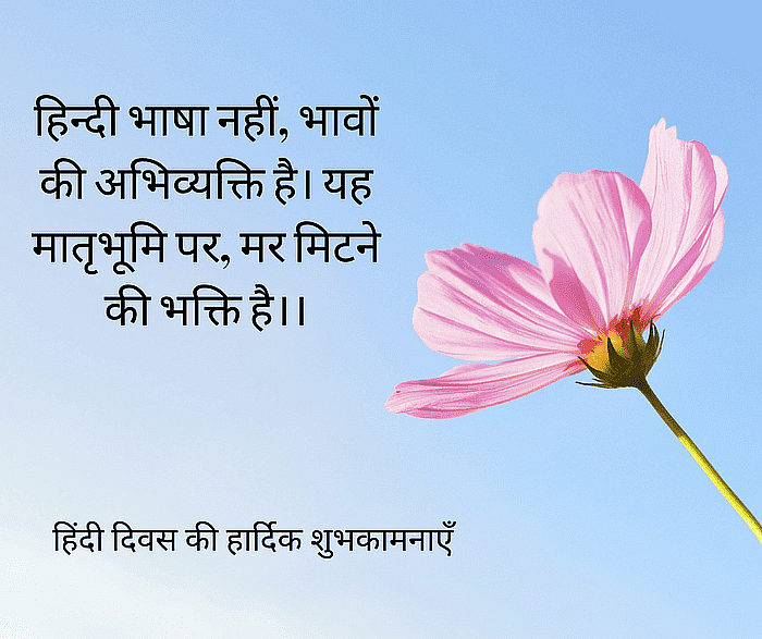 Here are some wishes, images, messages and quotes to send to your friends and family on the occasion of Hindi Diwas