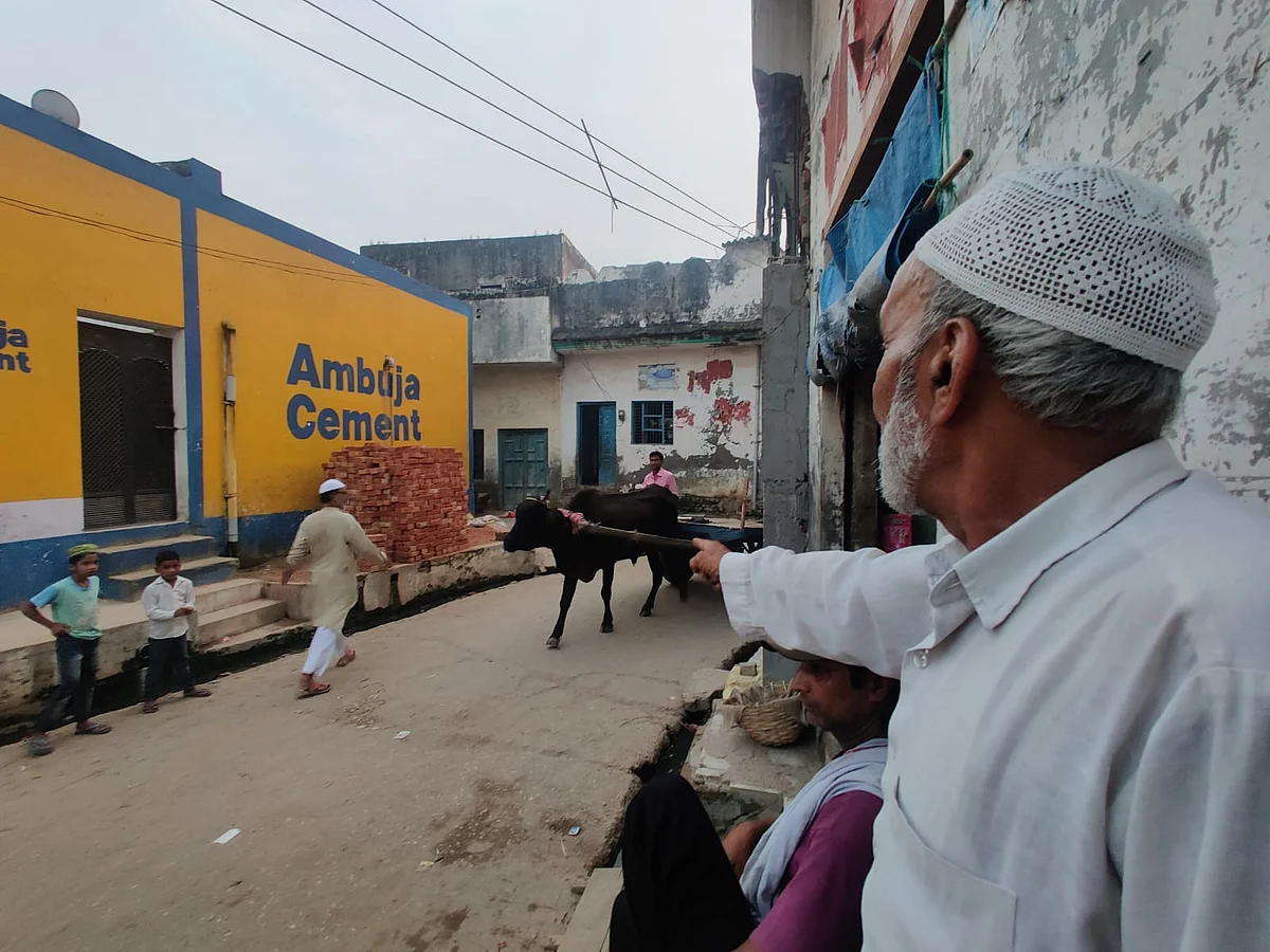 <div class="paragraphs"><p>Shahnawaz's father Mohammad Salim points to where he saw his son being thrashed from the spot he stood at on 27 August 2013.</p></div>