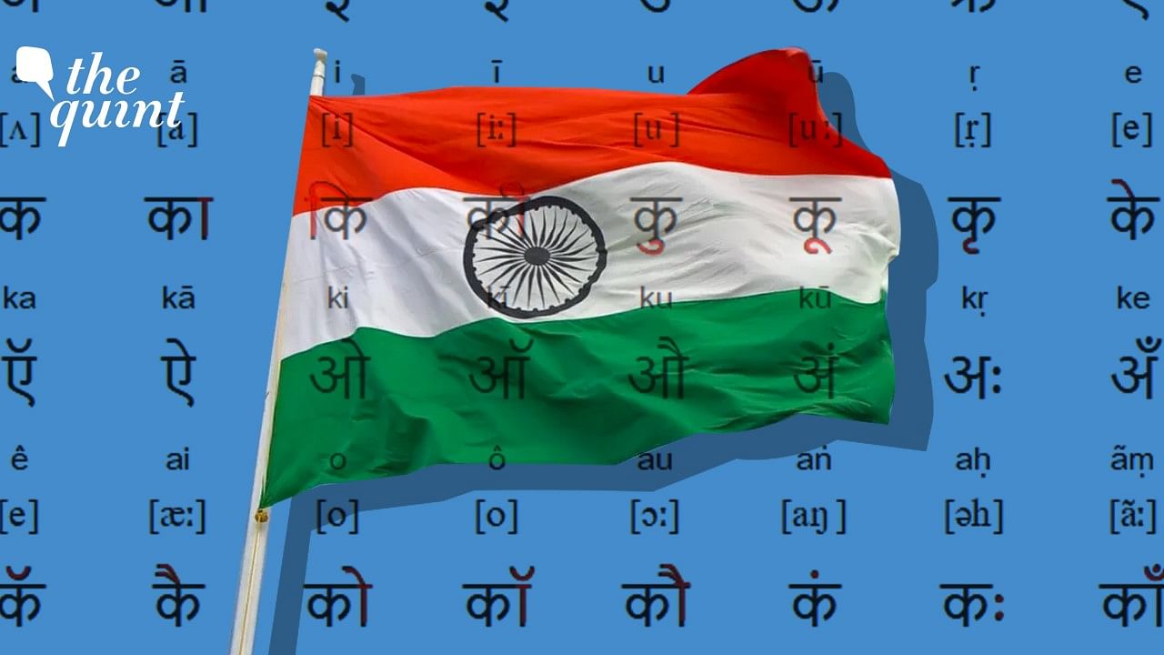 <div class="paragraphs"><p>The Constitution, which recognises Hindi as an 'official language,' does not mention any 'national language.'</p></div>
