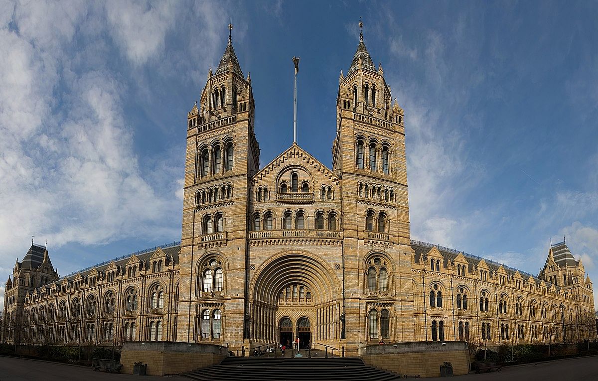 <div class="paragraphs"><p>The award ceremony was held virtually from London. It was organised by the Natural History Museum (representational image)</p></div>