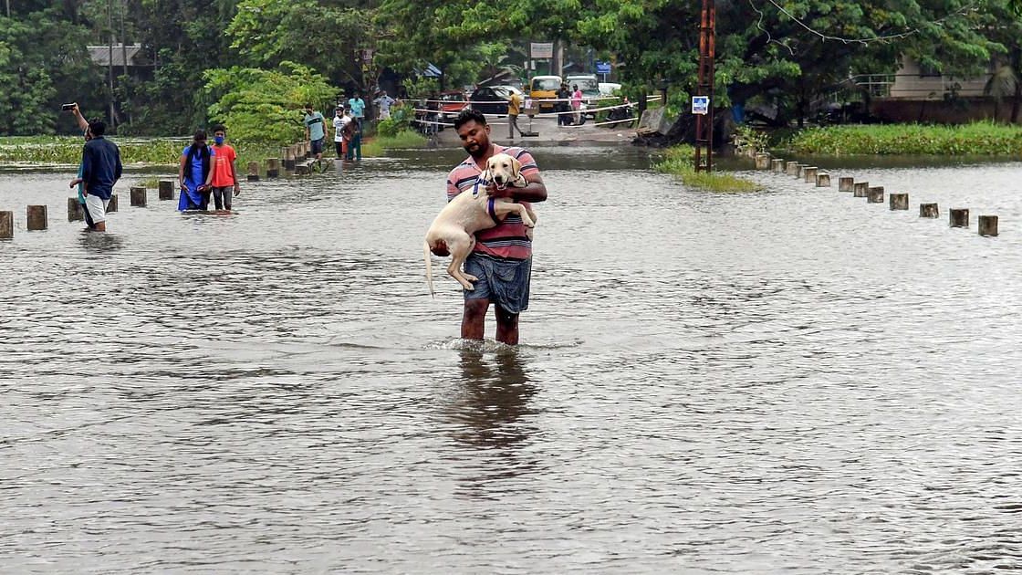 <div class="paragraphs"><p>At least 24 people have lost their lives in the flash floods and landslides in Kerala until now. Image used for representation.</p></div>