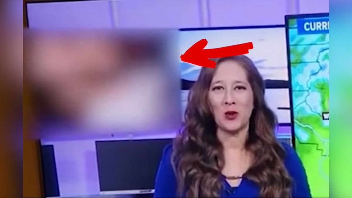 News Channel Accidently Airs Adult Film Clip During Weather Report 