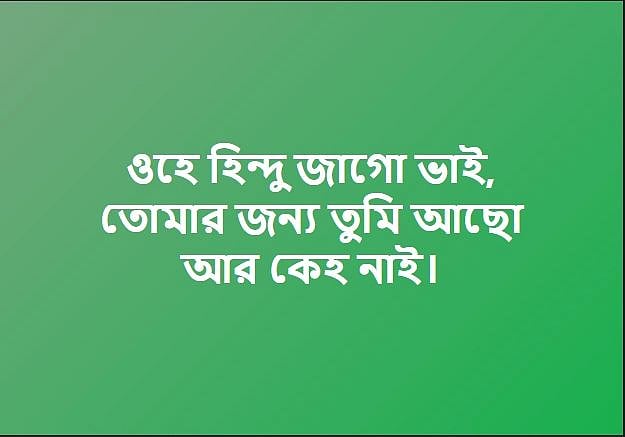 <div class="paragraphs"><p>Translation: Oh my Hindu brother, rise! No one else will stand for you.&nbsp;</p></div>