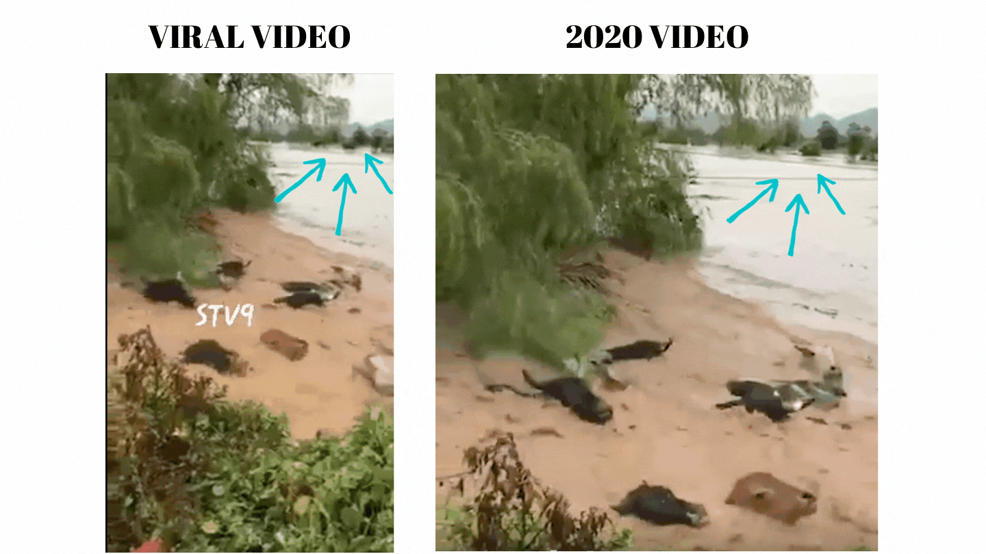 <div class="paragraphs"><p>Left: Viral video. Right: Video shared in 2020.</p></div>