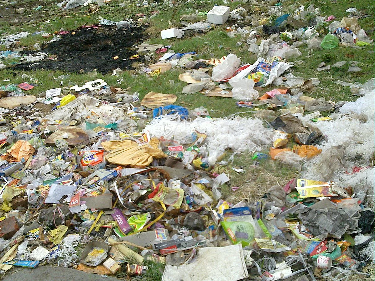 The Life of Plastic: Born a Hero, Dying an Outcast, Resurrected a Monster