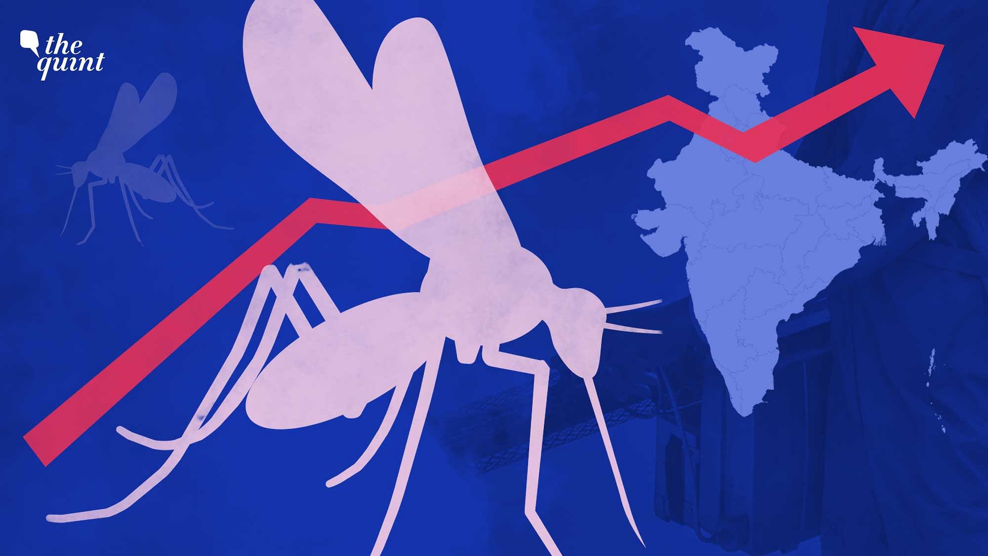 <div class="paragraphs"><p>As an atypical surge in <a href="https://www.thequint.com/coronavirus/faq/here-is-all-you-need-to-know-about-dengue-fever#read-more#read-more#read-more">dengue</a> incidence engulfs India, as many as 1,16,991 cases of the vector-borne disease have been reported across the country this year.</p></div>