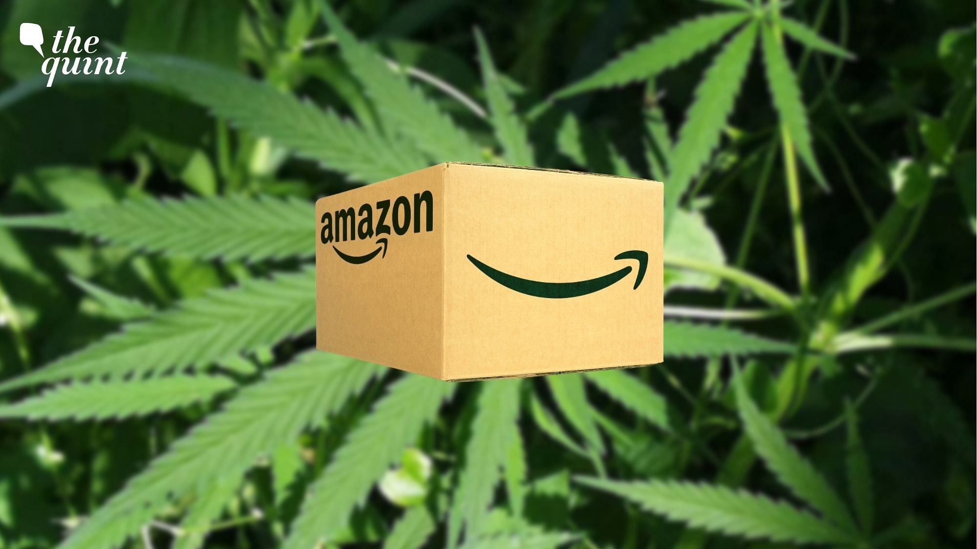 <div class="paragraphs"><p>The MP police estimate that around 1,000 kg of marijuana, worth roughly Rs 1.09 crore, was sold via Amazon.</p></div>