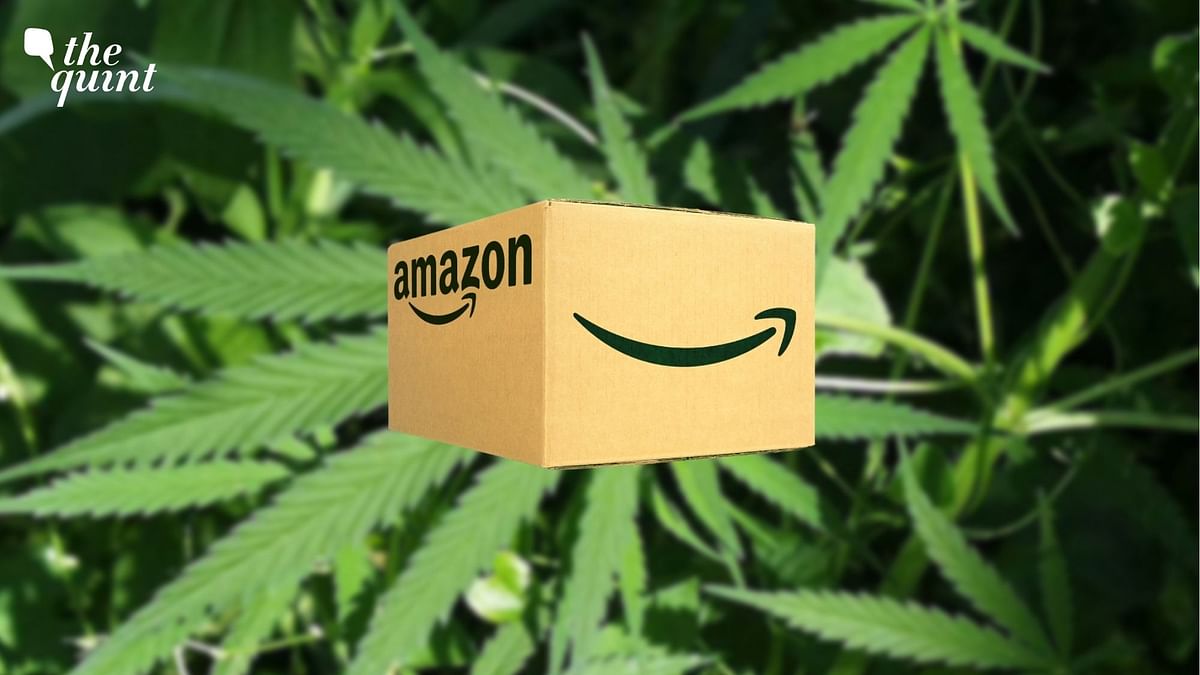 MP Police Charge Senior Executives of Amazon in Alleged Marijuana Smuggling Case