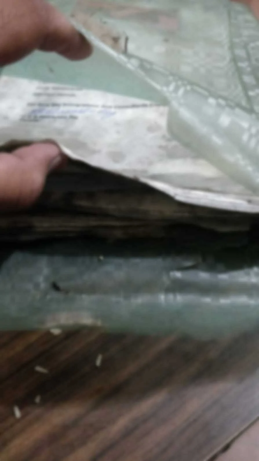 <div class="paragraphs"><p>Documents soaked in water due to the rainfall</p></div>