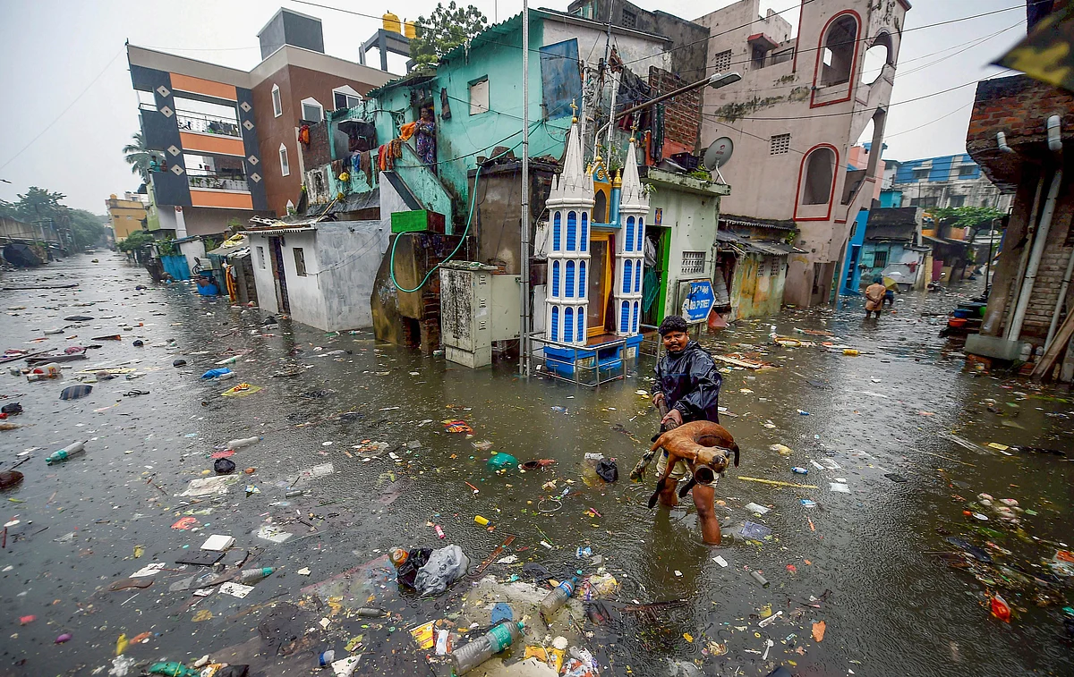 <div class="paragraphs"><p>A man carries a goat that died on a waterlogged street following heavy rain in Chennai.</p></div>