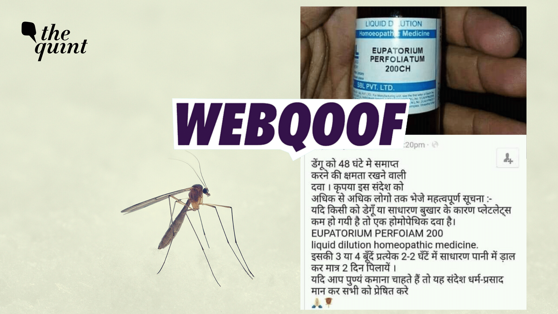 <div class="paragraphs"><p>Fact-Check | The claim that&nbsp;Eupatorium Perfoliatum 200 CH can sure dengue in just two days is false.</p></div>