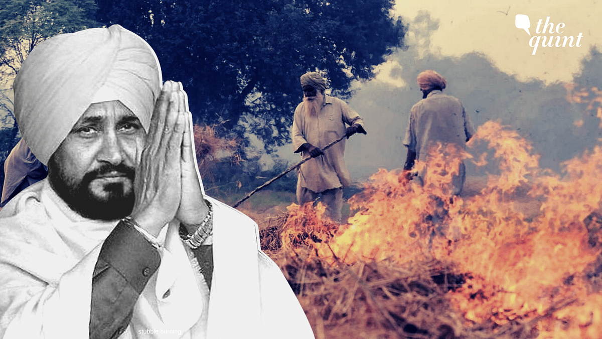‘Will Drop Cases of Stubble Burning Against Farmers’: Punjab CM Channi