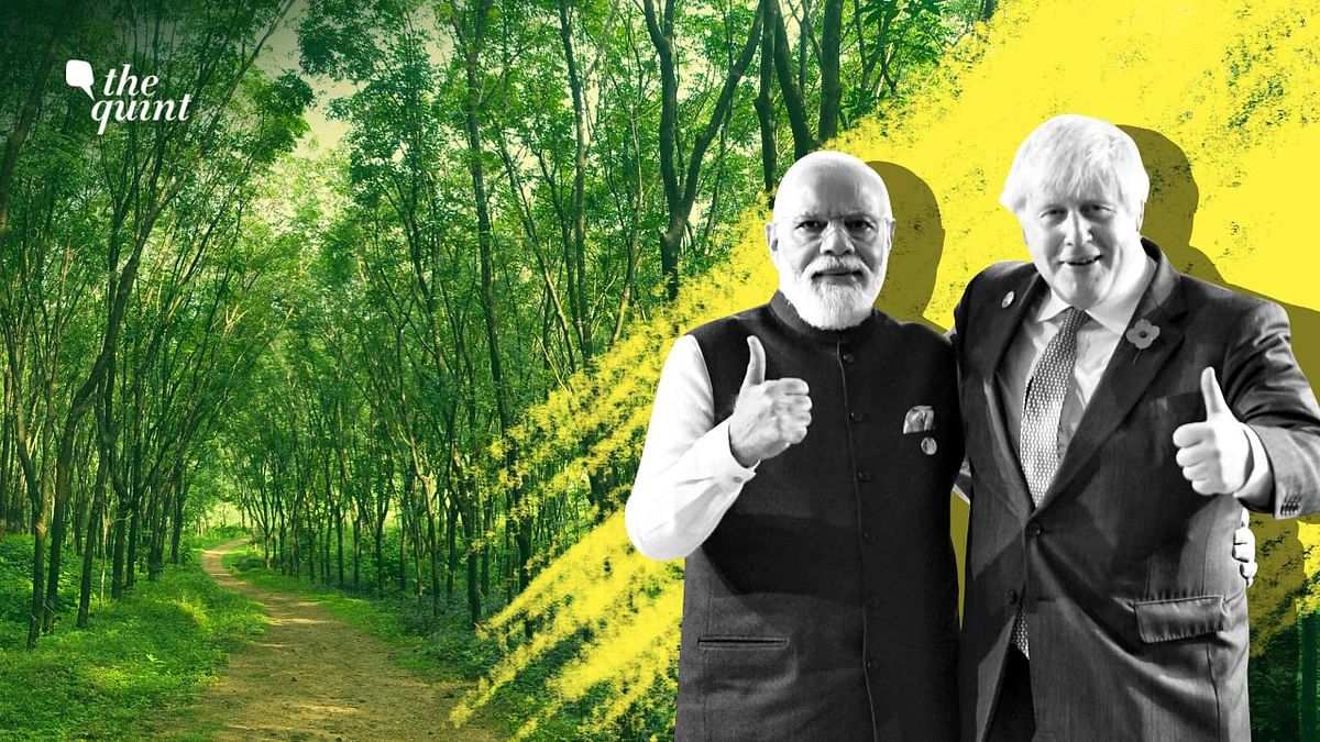 As COP26 Seeks to Save Forests, Modi Govt's Move to Amend FCA Does the Opposite 