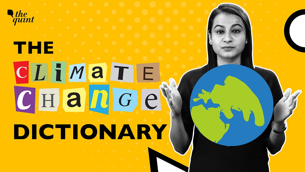 The Climate Change Dictionary: What Is Climate Finance? - Vimarsana News
