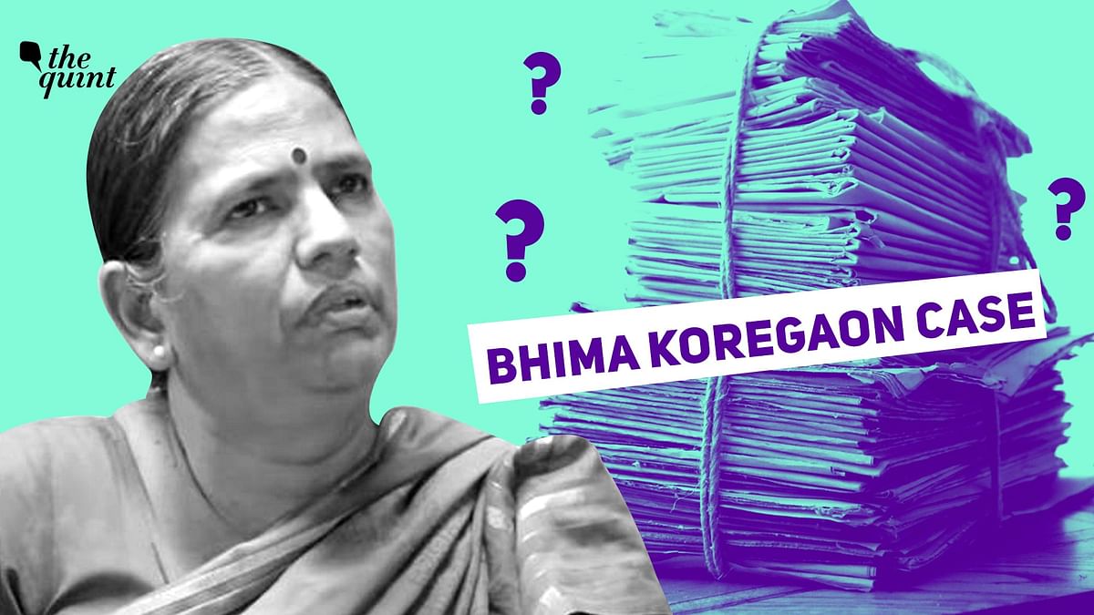 Will the Sudha Bharadwaj Bail Order Affect the Bhima Koregaon Case as a Whole?
