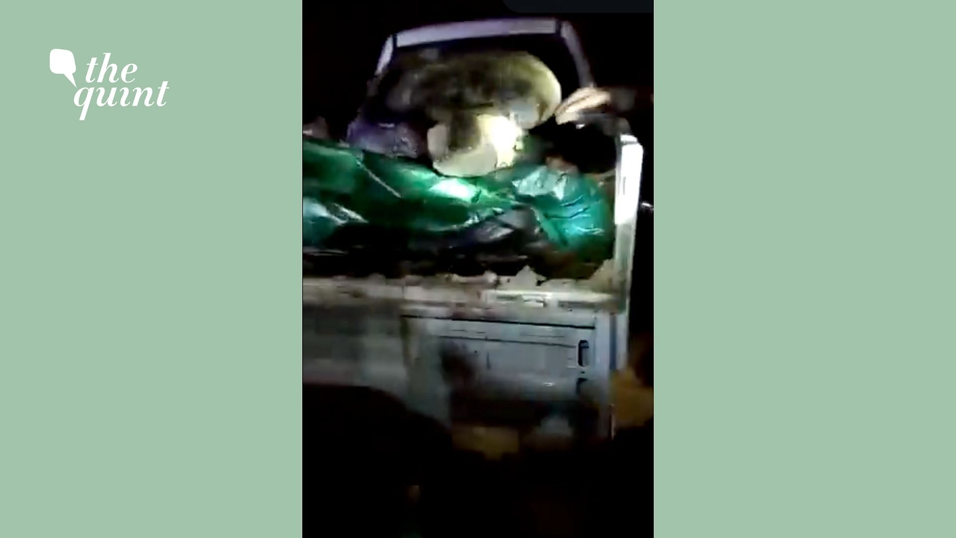 <div class="paragraphs"><p>A video has surfaced that shows bodies of six Nagaland villagers wrapped in plastic and put in a truck.</p></div>