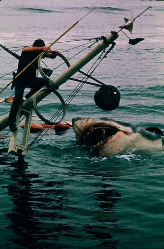 Steven Spielberg used a wooden mechanical shark, named 'Bruce' in 'Jaws', to induce terror in several generations.