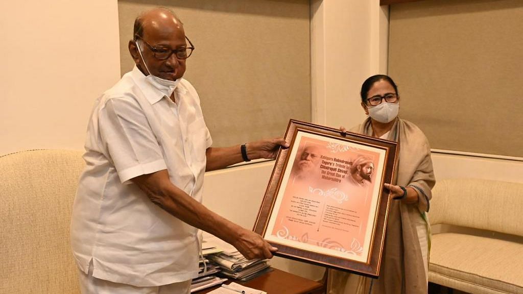 <div class="paragraphs"><p>NCP chief Sharad Pawar with West Bengal CM Mamata Banerjee.&nbsp;</p></div>