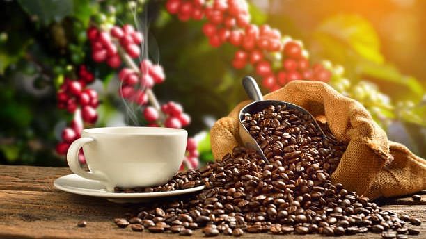 Coffee May Become More Scarce & Expensive Thanks to Climate Change: New Research