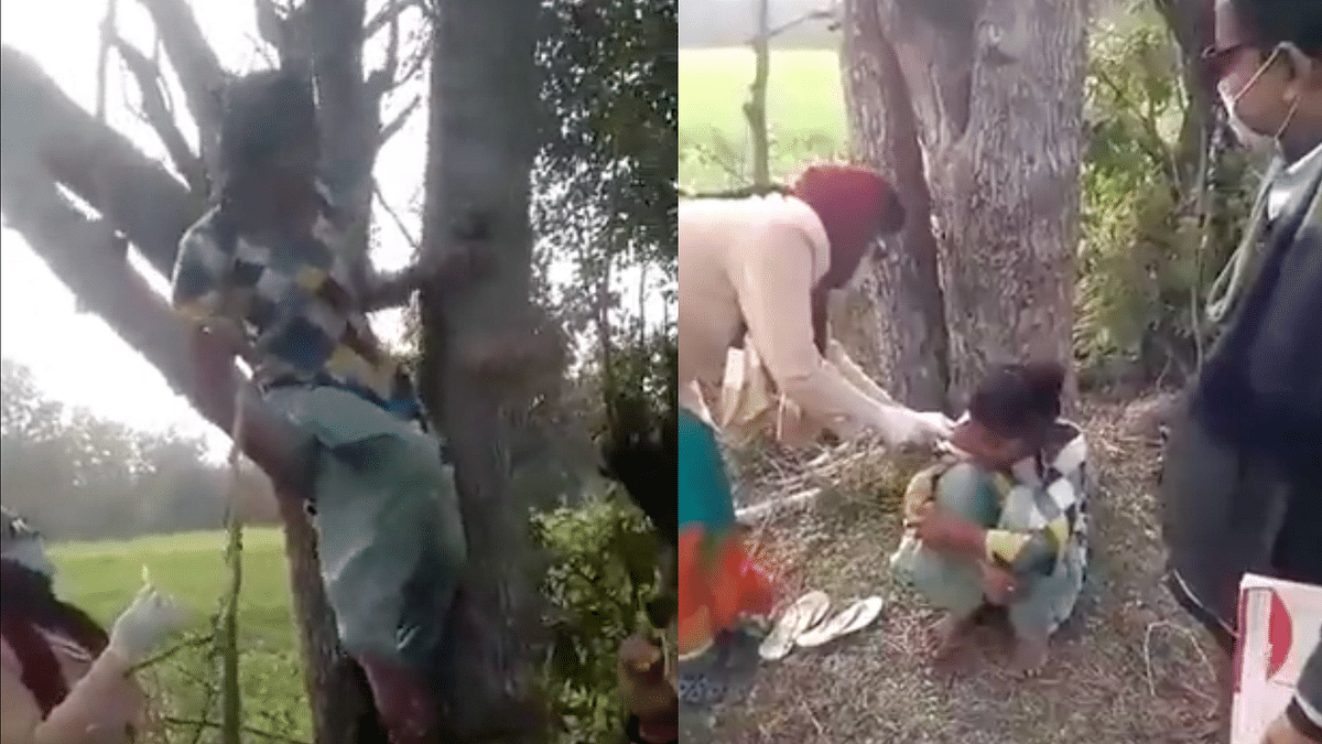 Watch: In Madhya Pradesh, Young Girl Climbs Tree to Avoid Getting Vaccinated 