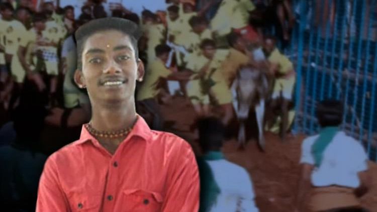 <div class="paragraphs"><p>A 19-year-old spectator was gored to death by a bull during Avaniyapuram jallikattu in Tamil Nadu.</p></div>