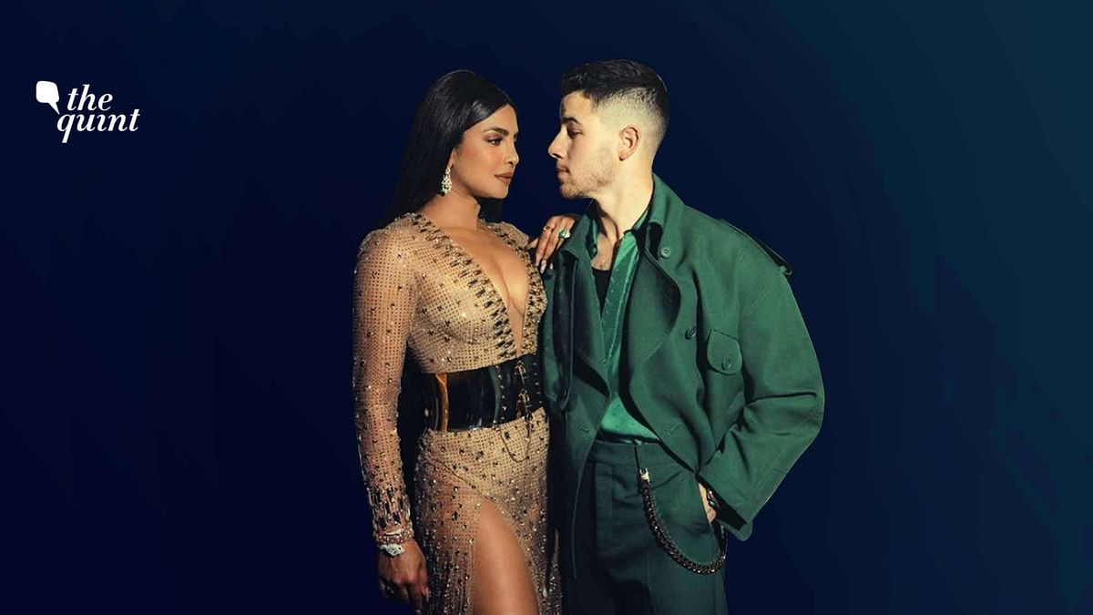 <div class="paragraphs"><p>Many on social media criticised, condemned, and ridiculed&nbsp;Priyanka Chopra's choice of surrogacy – which they saw as a 'frivolous' decision. Image used for representational purposes.</p></div>