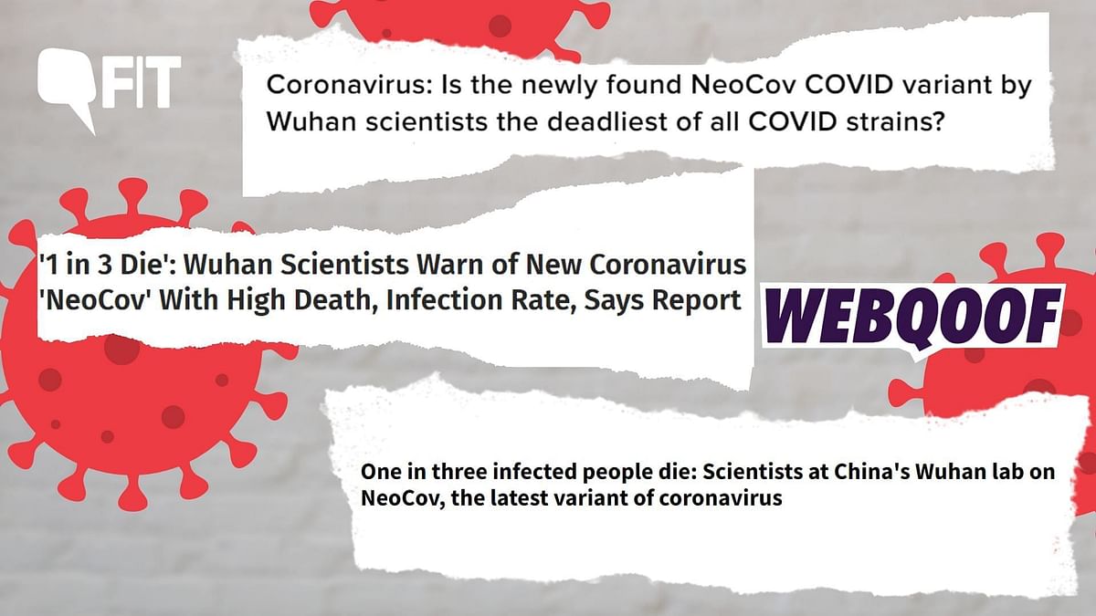 'NeoCoV' Is Neither a 'New' Virus nor a Variant of COVID-19