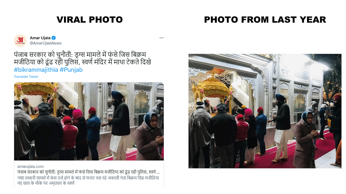 <div class="paragraphs"><p>Comparison of viral photos with the images posted last year.</p></div>