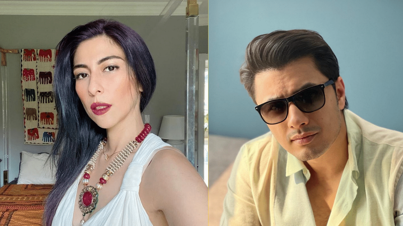 <div class="paragraphs"><p>Meesha Shafi accused Ali Zafar of sexual harassment in 2018.</p></div>