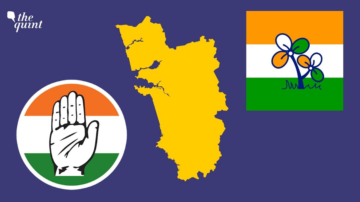 Goa Elections: Rumours of TMC-Congress Alliance Afloat; Leaders Deny Claims