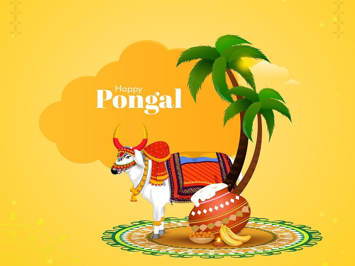 Pongal 2022 Date and Timing, History and Significance. Send Pongal ...