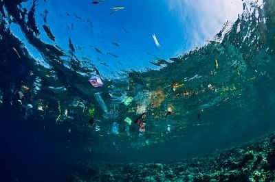 <div class="paragraphs"><p>World Ocean day 2022: Theme, quotes, messages, and images.</p></div>