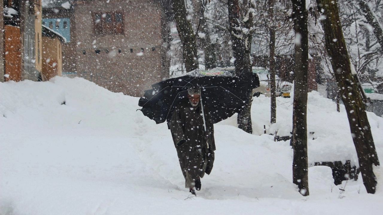 <div class="paragraphs"><p>The Kashmir valley on Wednesday, 23 February, woke up to a blanket of snowfall — the season's heaviest snowfall so far which ended up disrupting flight and surface transport operations in the region.</p></div>