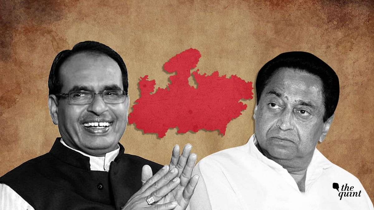 Who's Winning Madhya Pradesh: BJP or Congress? Full Story in 8 Charts & 6 Points