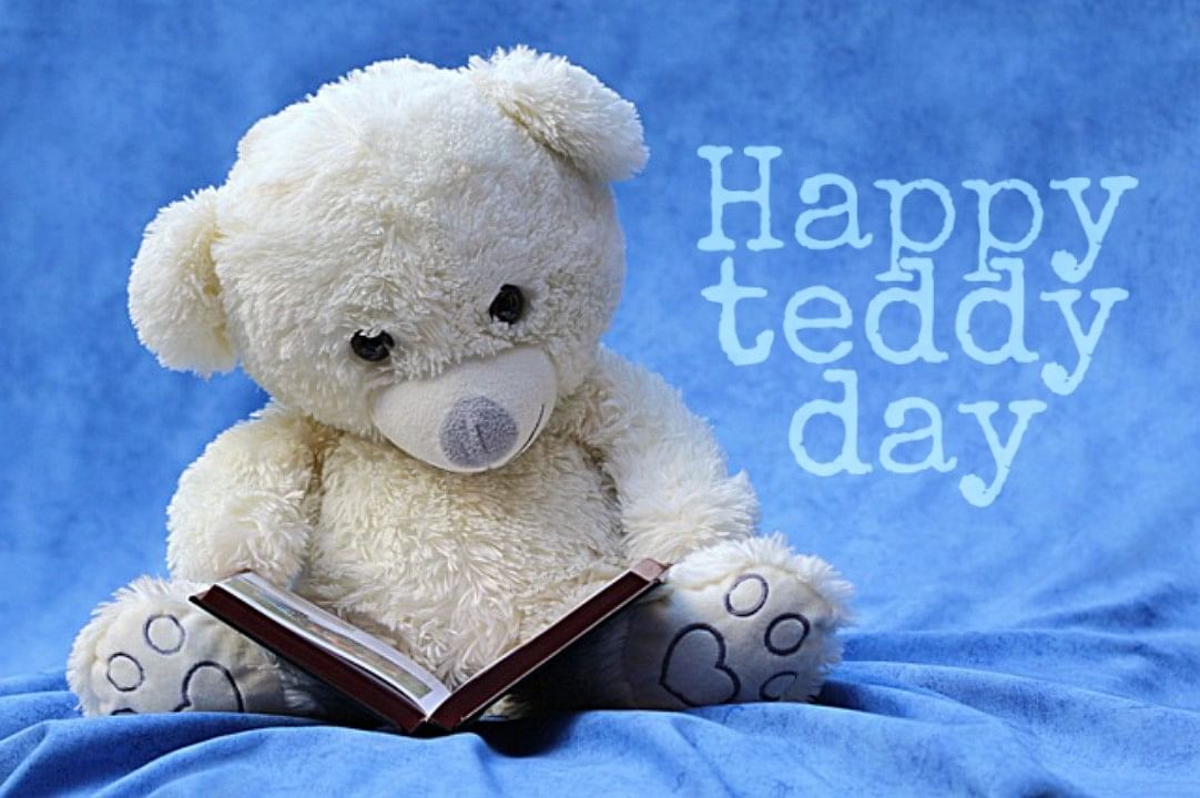 feb 10 teddy day